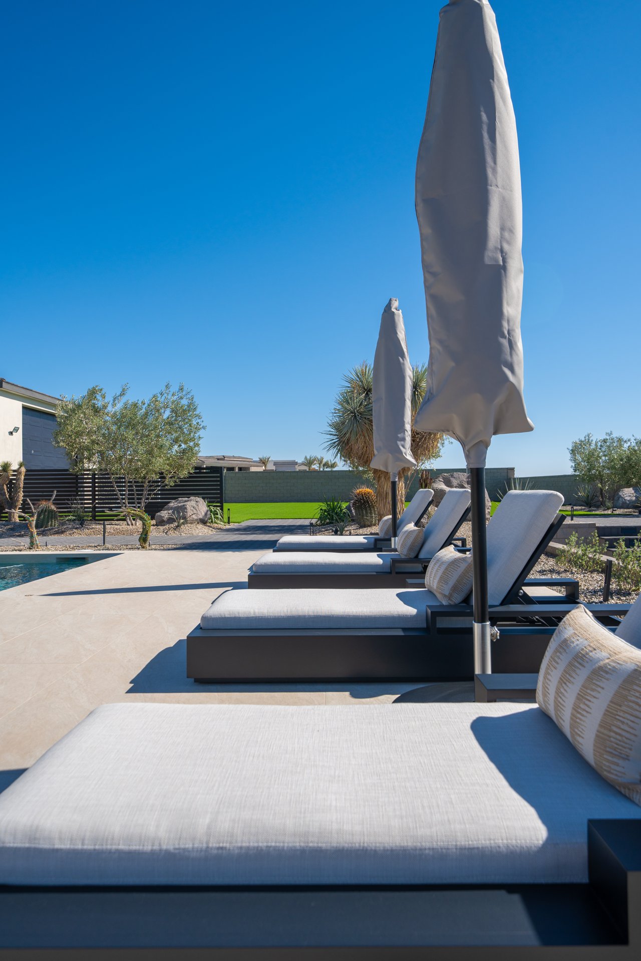 Row of poolside chaise loungers with umbrellas and desert plantings